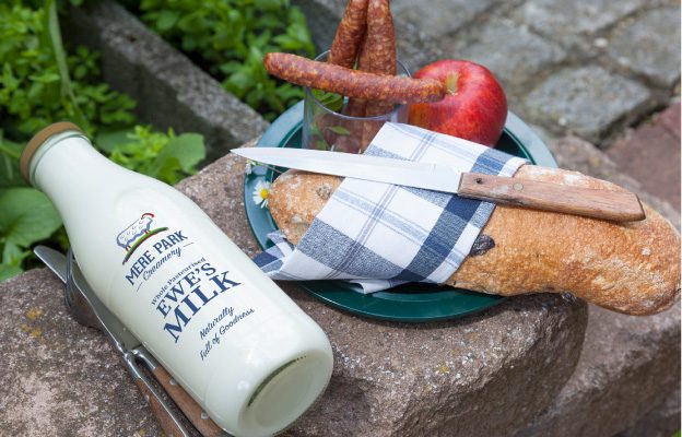 Our Sheep's Milk