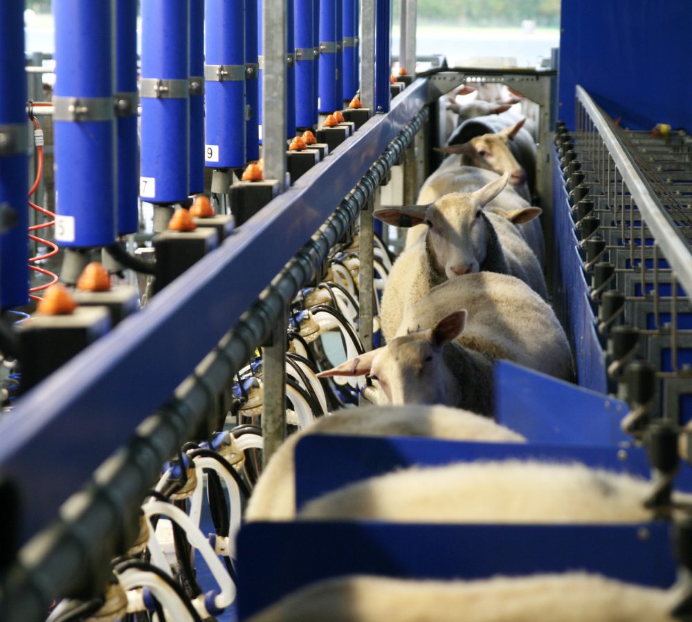 Our PARLOUR